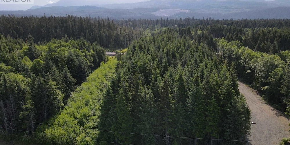 300 LOGANBERRY AVENUE Kitimat Photo 2