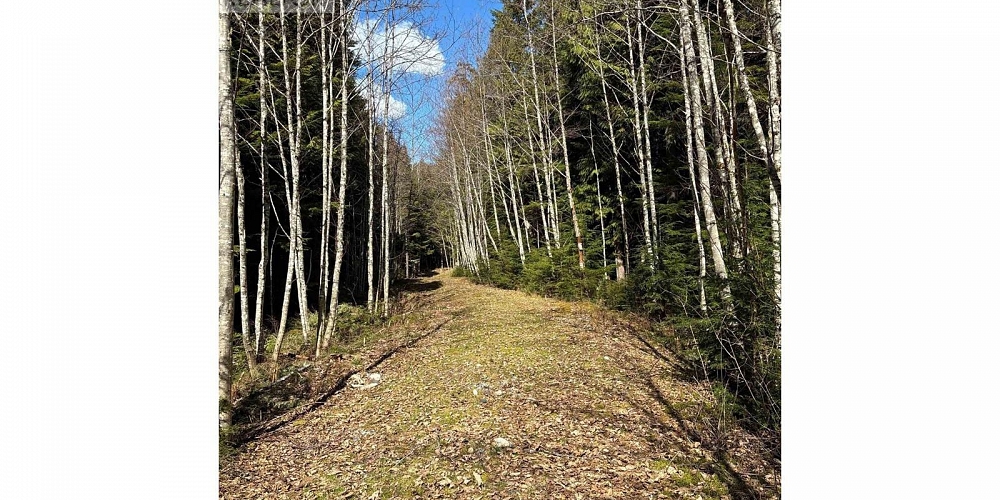 4962 MERKLEY ROAD Terrace Photo 2