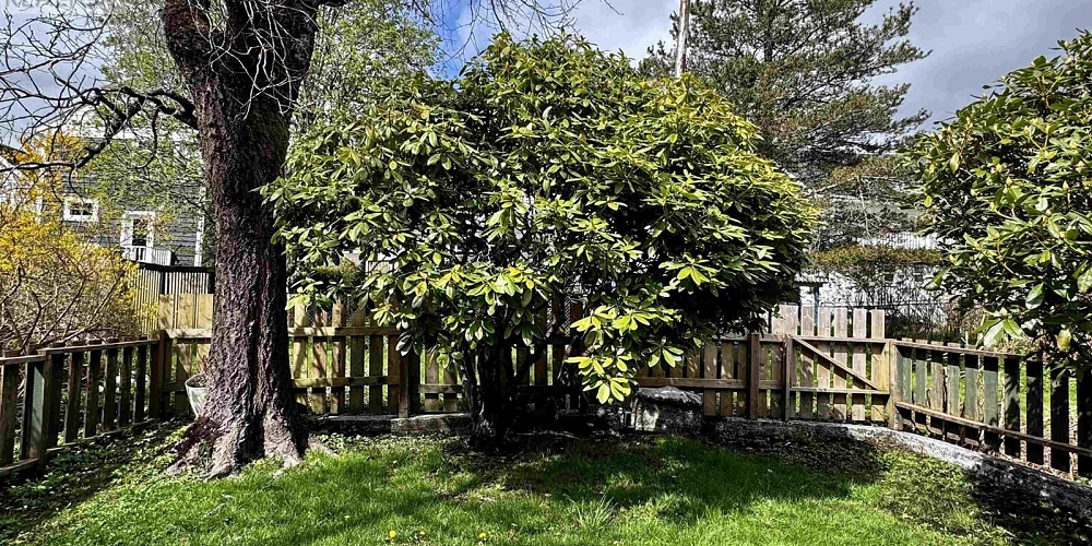 661 E 5TH AVENUE Prince Rupert Photo 36