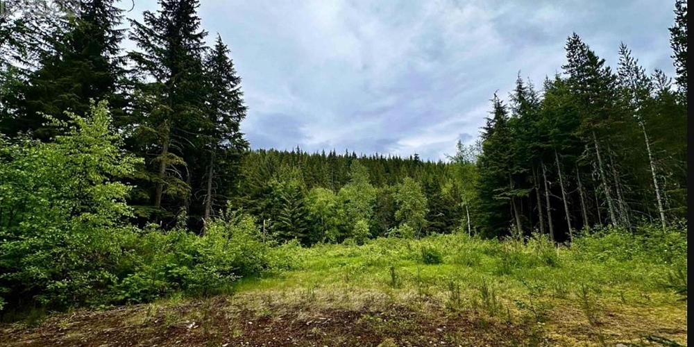LOT C KALUM LAKE ROAD Terrace Photo 11
