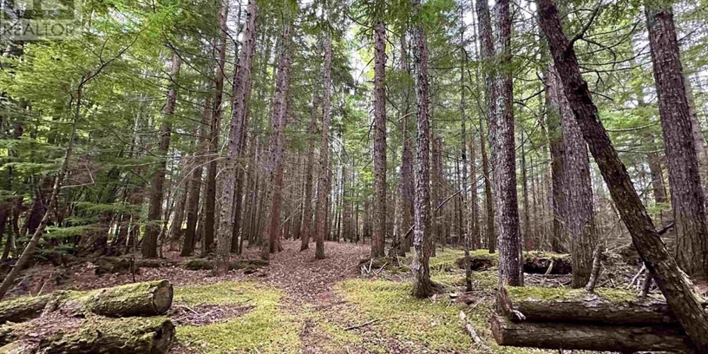 LOT C KALUM LAKE ROAD Terrace Photo 14
