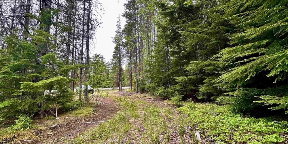 LOT C KALUM LAKE ROAD Terrace Photo 2