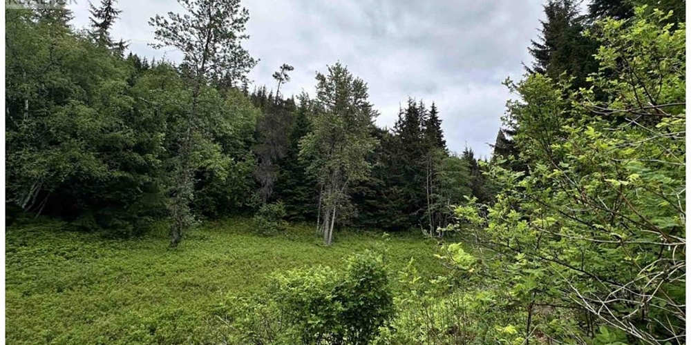 LOT C KALUM LAKE ROAD Terrace Photo 6