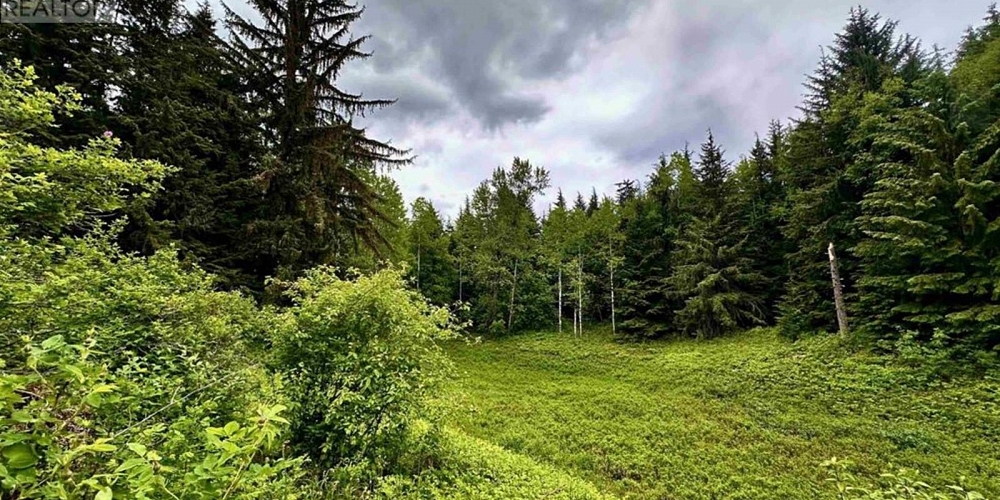 LOT C KALUM LAKE ROAD Terrace Photo 8