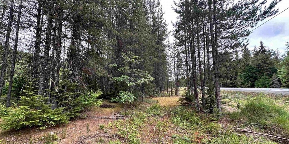 LOT C KALUM LAKE ROAD Terrace Photo 9