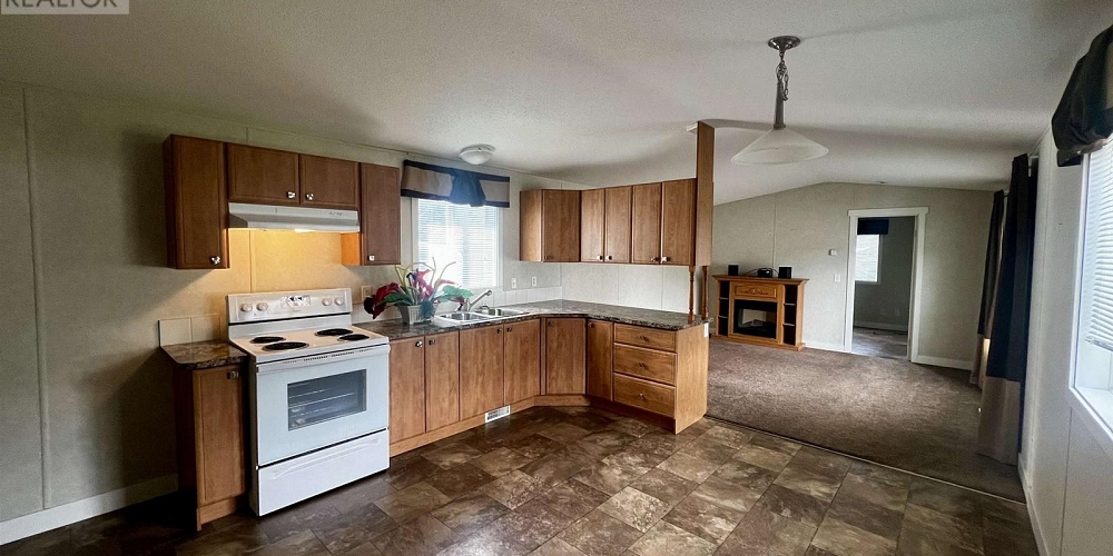 30 4619 QUEENSWAY DRIVE Terrace Photo 6