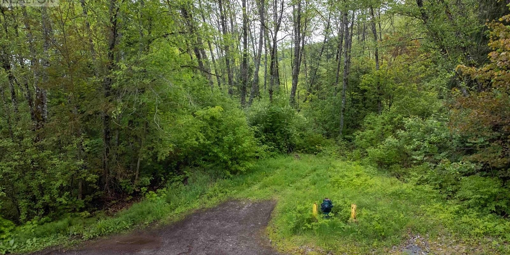 MAPLE STREET Terrace Photo 2