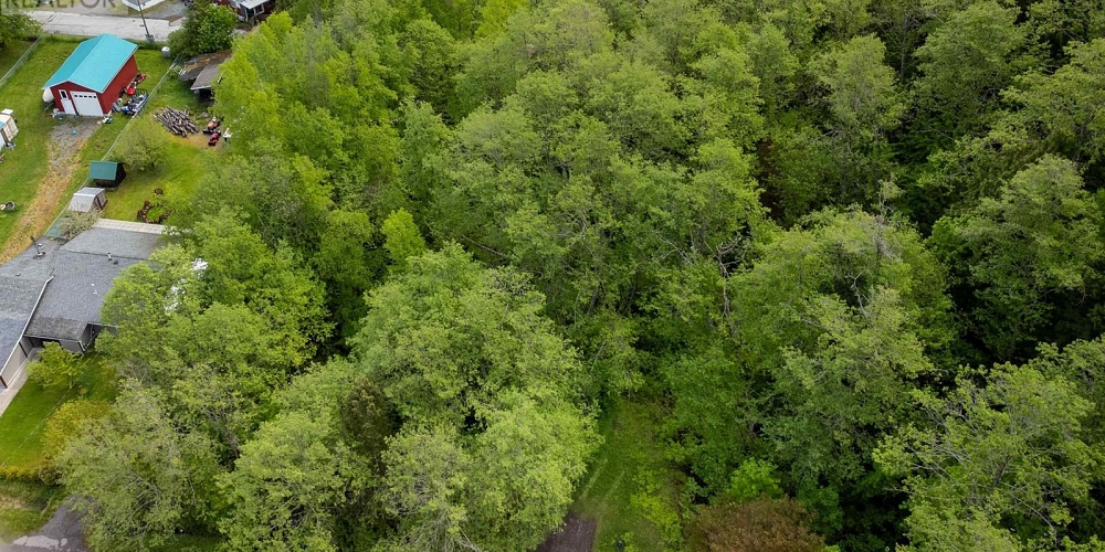 MAPLE STREET Terrace Photo 3