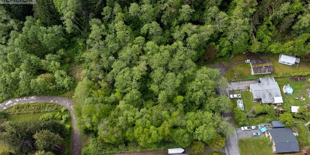 MAPLE STREET Terrace Photo 4