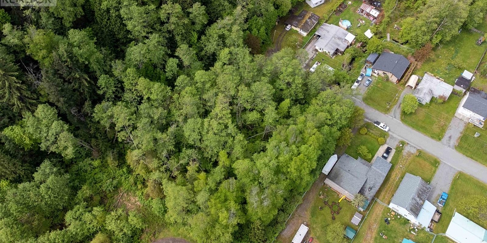 MAPLE STREET Terrace Photo 5