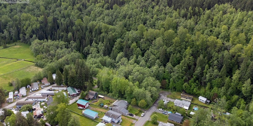 MAPLE STREET Terrace Photo 7