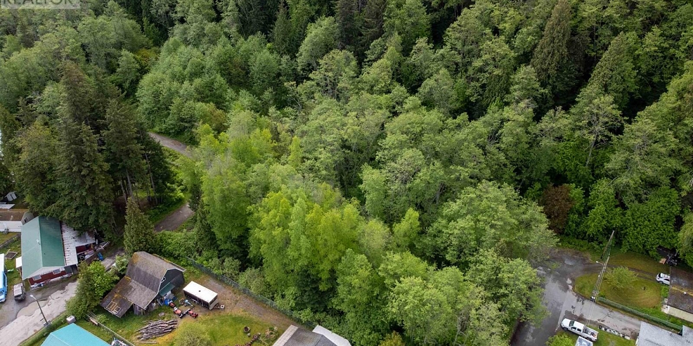 MAPLE STREET Terrace Photo 8