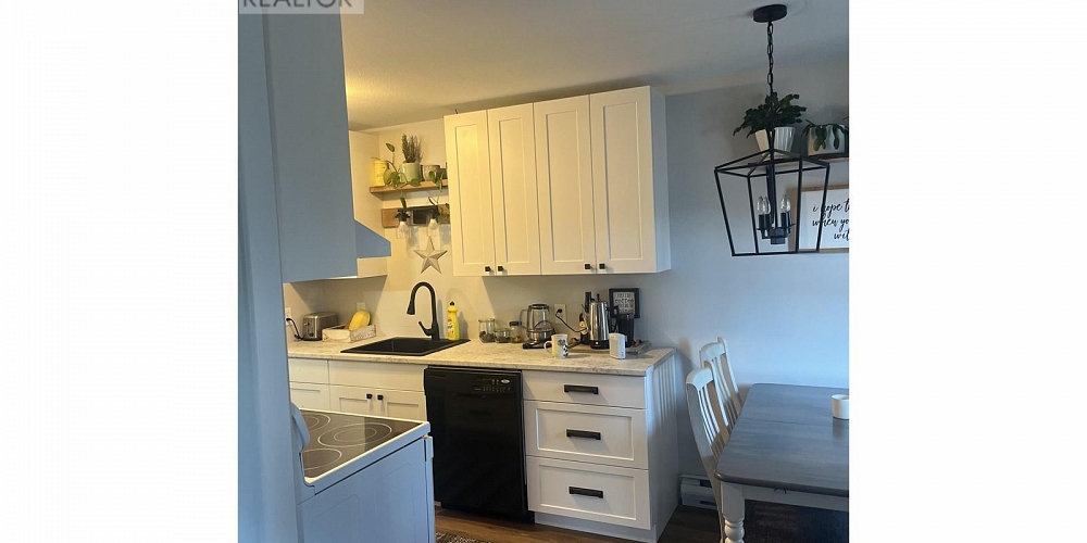 1 4739 WALSH AVENUE Terrace Photo 5