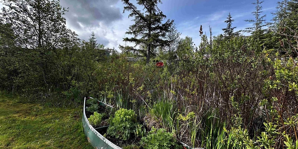 2605 FIRST AVENUE Terrace Photo 35