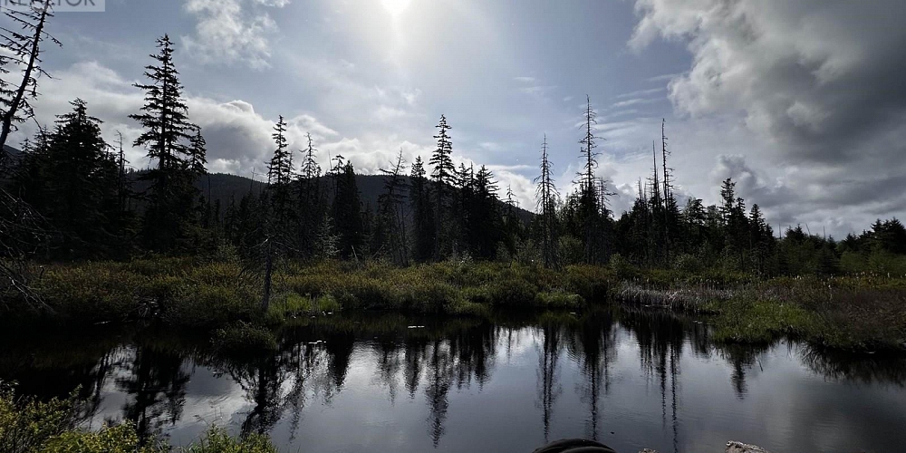 2605 FIRST AVENUE Terrace Photo 39