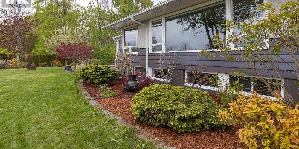4407 BIRCH AVENUE Terrace Photo 31
