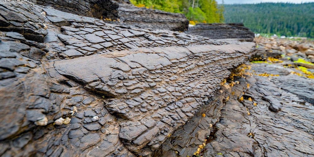 LOT 1 ROBERTSON ISLAND Daajing Giids City Photo 9