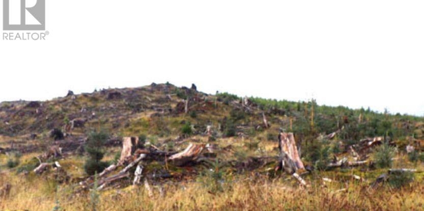 KWAIKANS ISLAND Port Clements Photo 13