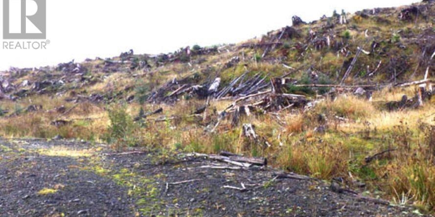 KWAIKANS ISLAND Port Clements Photo 14