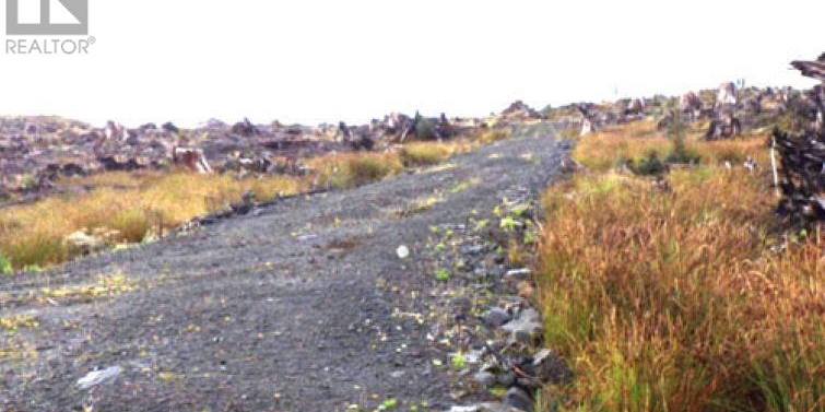 KWAIKANS ISLAND Port Clements Photo 15
