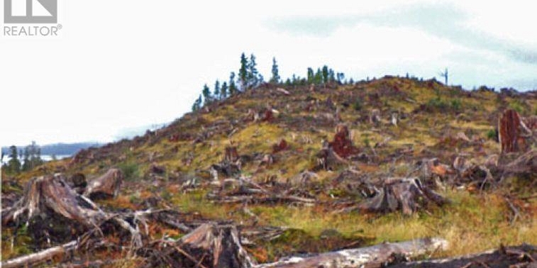 KWAIKANS ISLAND Port Clements Photo 16