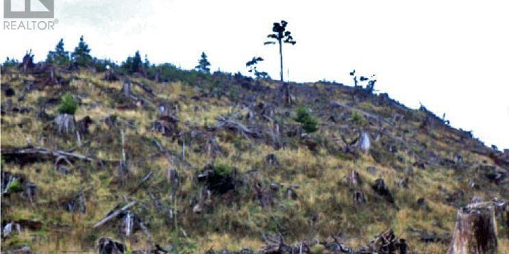 KWAIKANS ISLAND Port Clements Photo 17