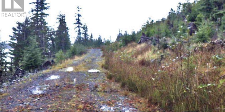 KWAIKANS ISLAND Port Clements Photo 19