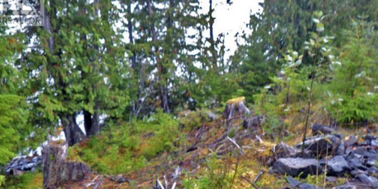 KWAIKANS ISLAND Port Clements Photo 20