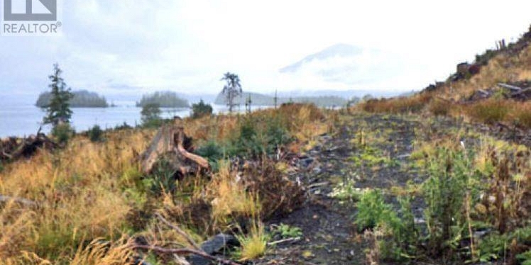 KWAIKANS ISLAND Port Clements Photo 3