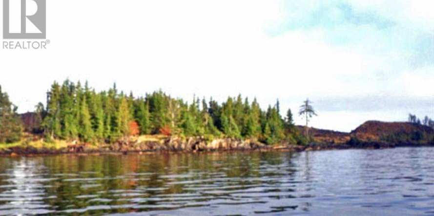 KWAIKANS ISLAND Port Clements Photo 9