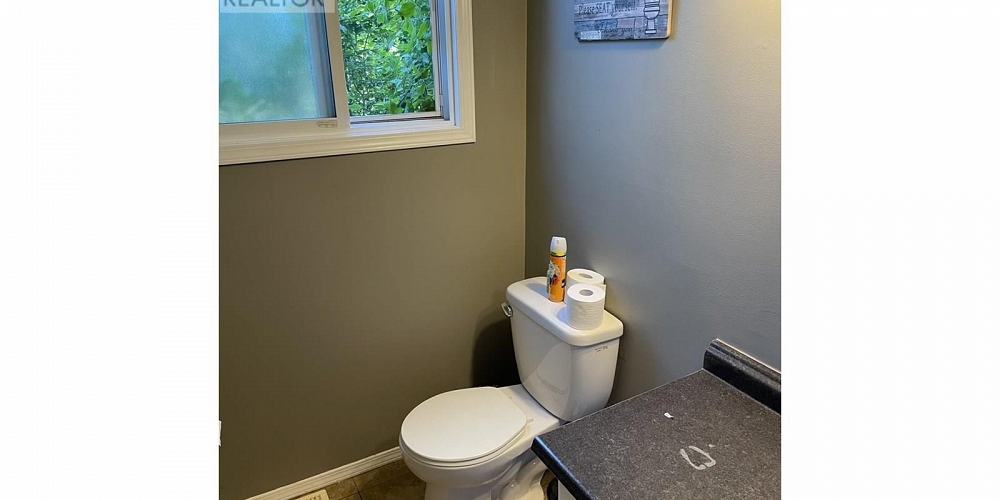 2 4809 HALLIWELL AVENUE Terrace Photo 8