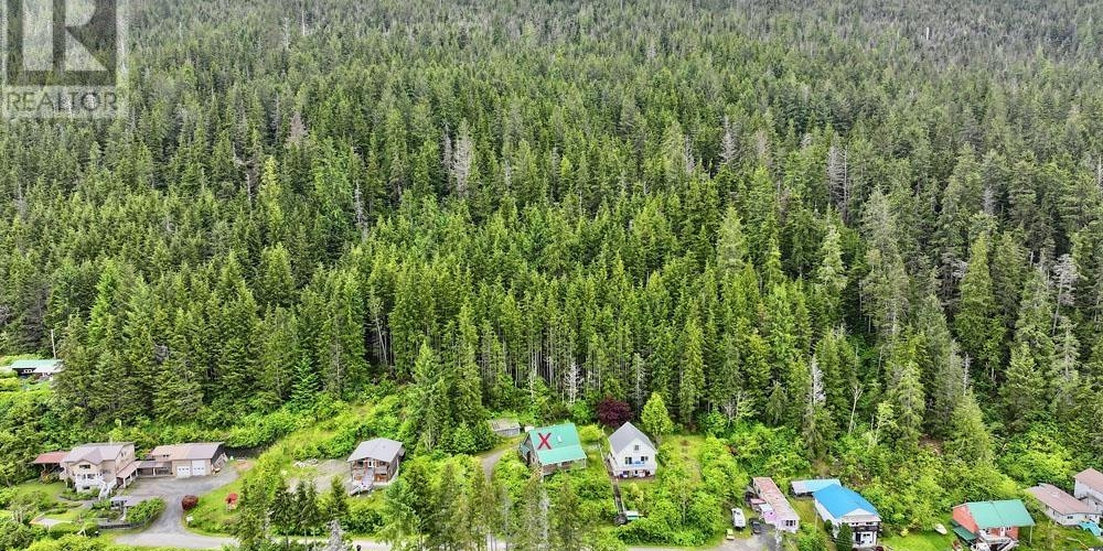 209 2ND AVENUE Daajing Giids City Photo 33