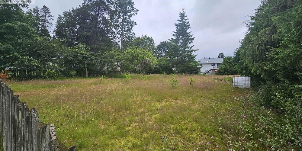 3311 KENNEY STREET Terrace Photo 2