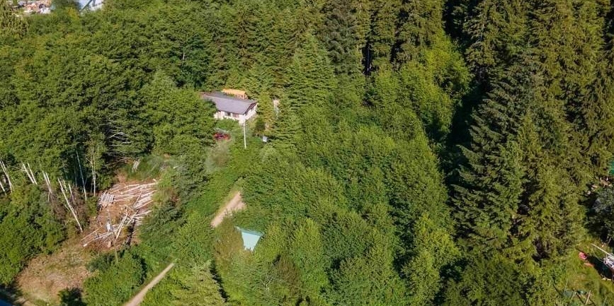 250 BAYVIEW DRIVE Port Clements Photo 4