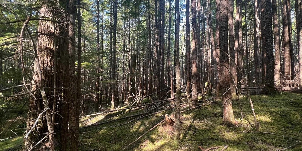LOT 1109 KALUM LAKE ROAD Terrace Photo 13