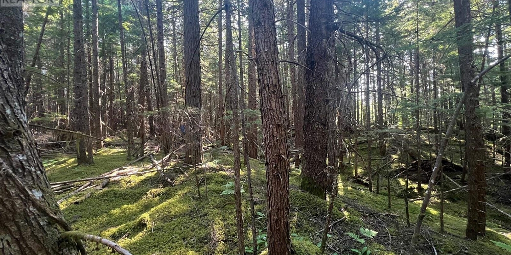 LOT 1109 KALUM LAKE ROAD Terrace Photo 14