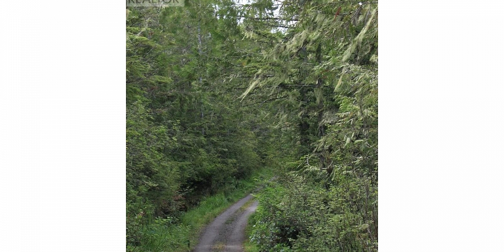 Lot 8 HUNTS INLET Prince Rupert Photo 18