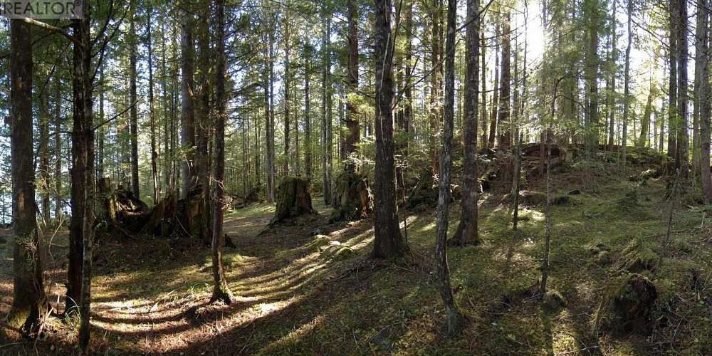 1302 GOBLE POINT Prince Rupert Photo 16