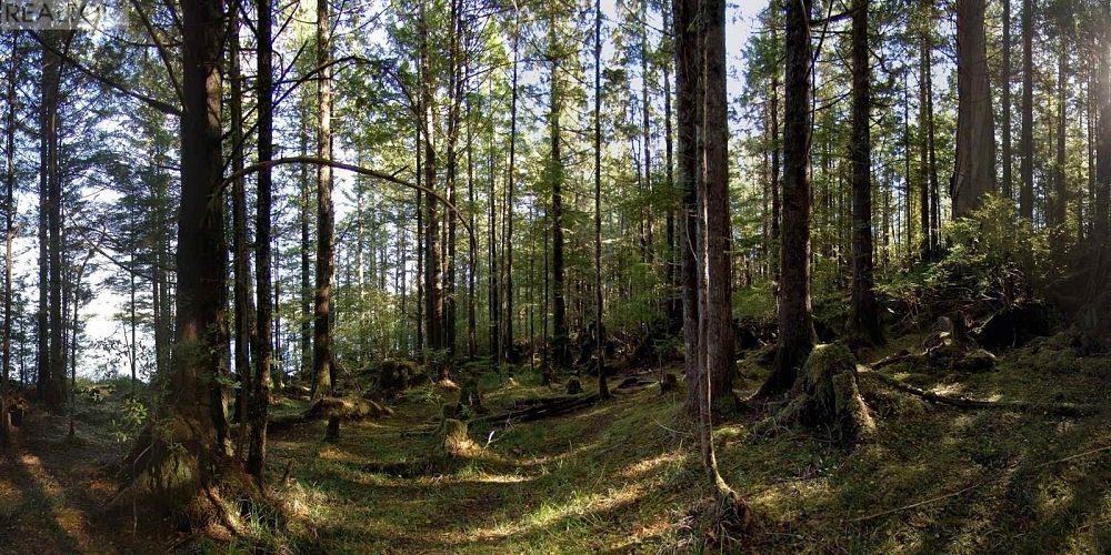 1302 GOBLE POINT Prince Rupert Photo 17