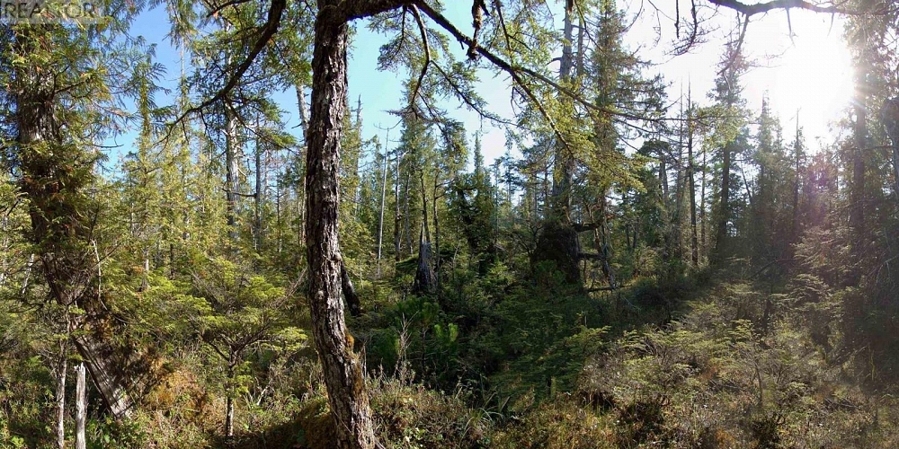 1302 GOBLE POINT Prince Rupert Photo 20