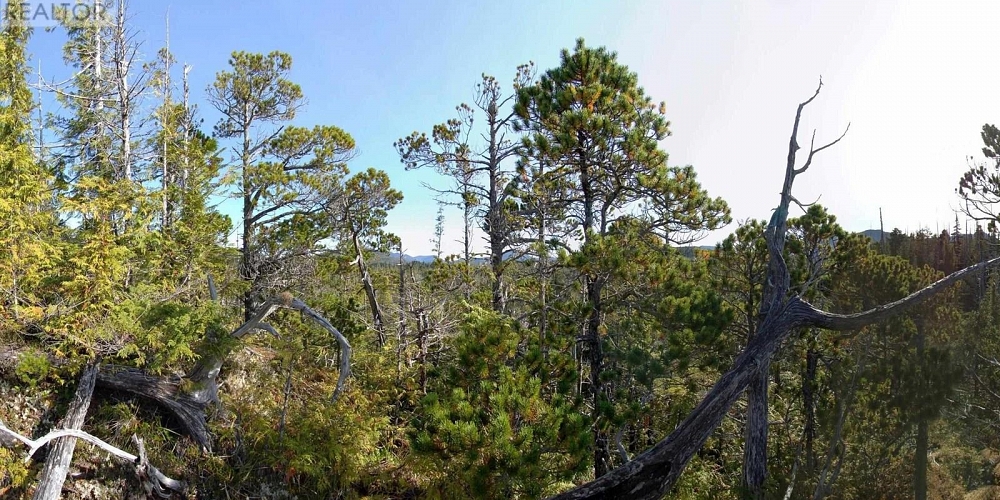 1302 GOBLE POINT Prince Rupert Photo 21