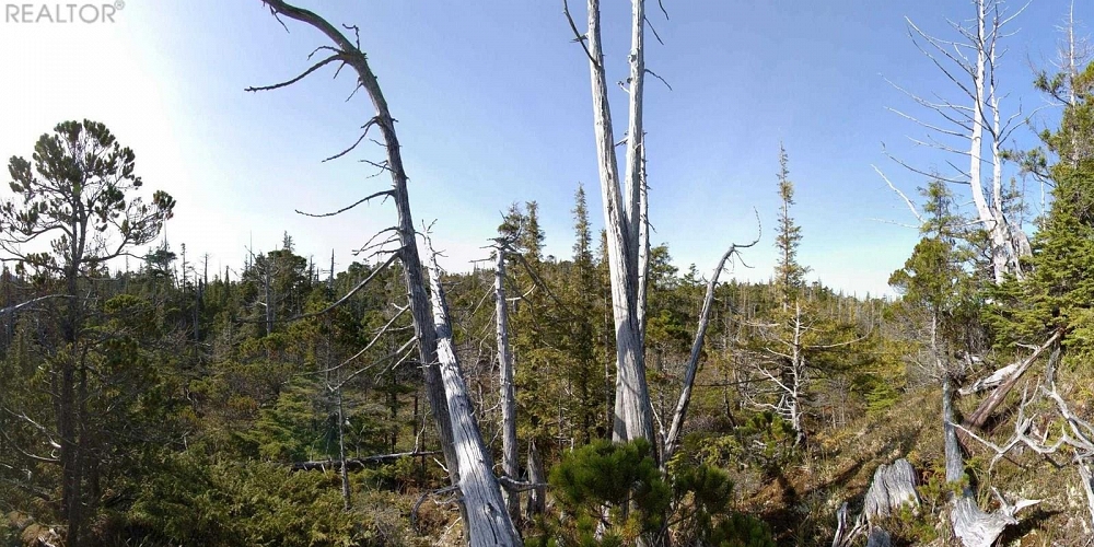 1302 GOBLE POINT Prince Rupert Photo 22