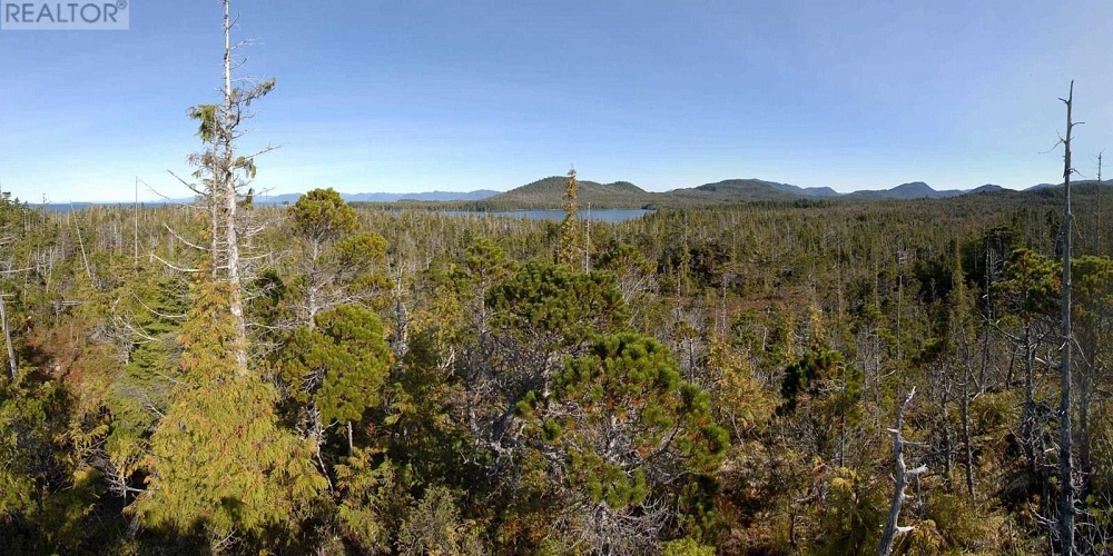 1302 GOBLE POINT Prince Rupert Photo 23