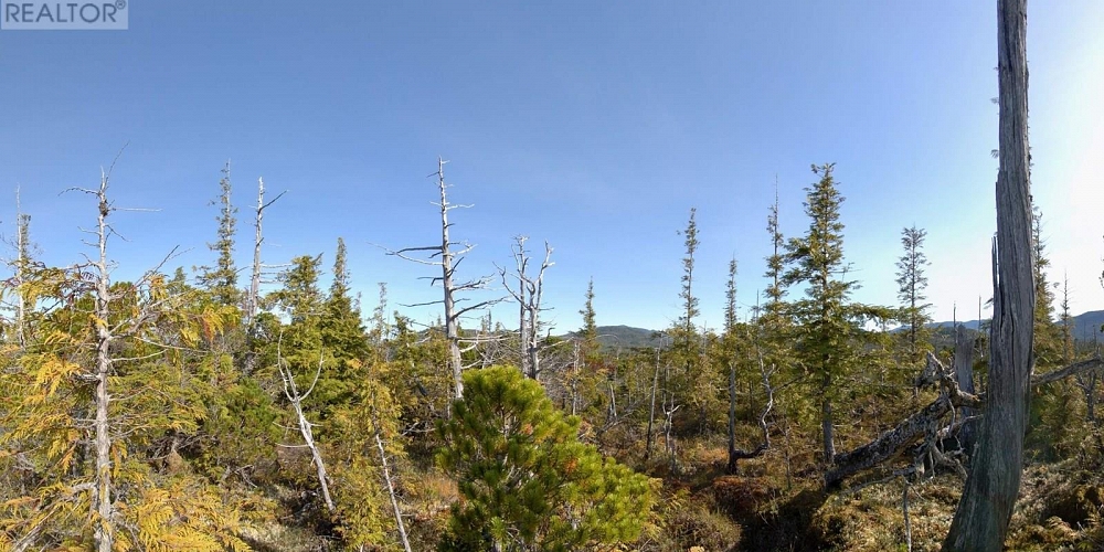 1302 GOBLE POINT Prince Rupert Photo 24