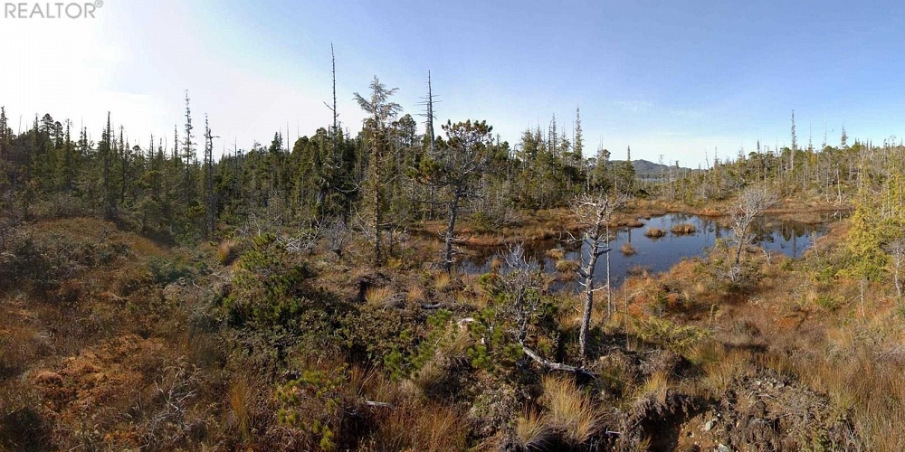 1302 GOBLE POINT Prince Rupert Photo 25