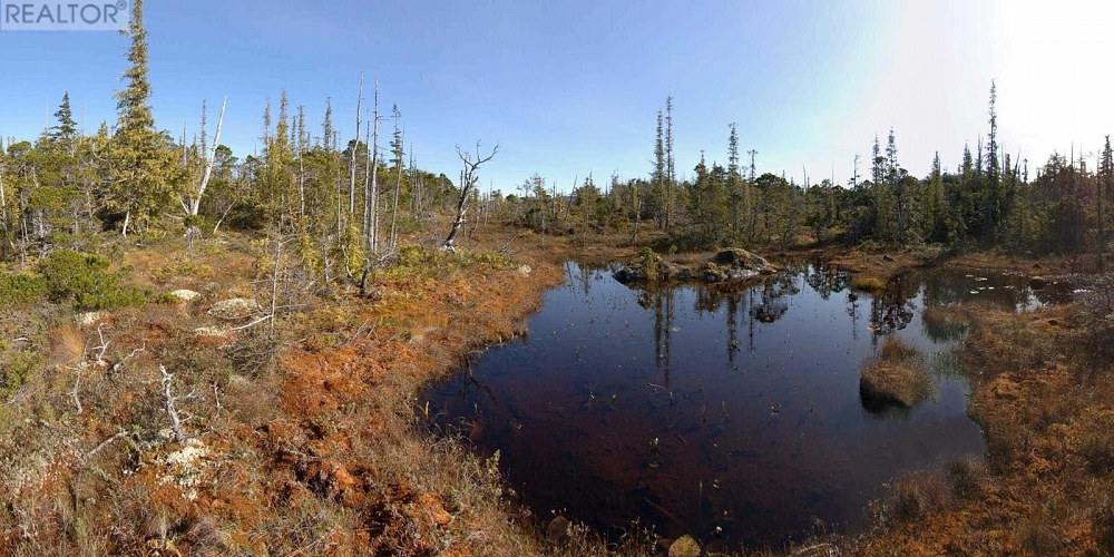 1302 GOBLE POINT Prince Rupert Photo 26