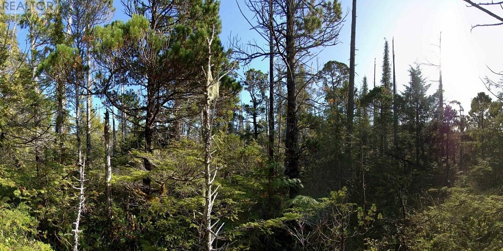 1302 GOBLE POINT Prince Rupert Photo 27