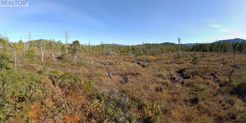 1302 GOBLE POINT Prince Rupert Photo 28