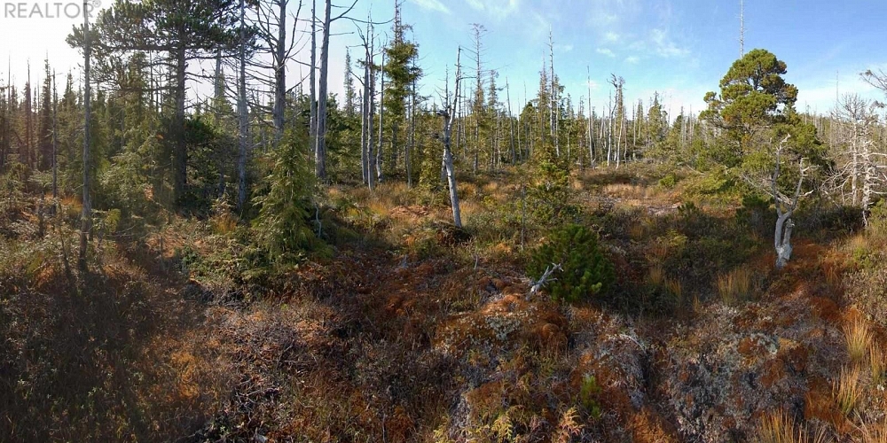 1302 GOBLE POINT Prince Rupert Photo 31