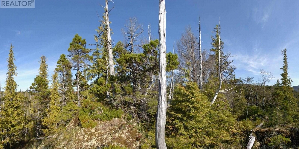 1302 GOBLE POINT Prince Rupert Photo 33